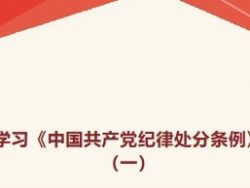【党纪学习教育】逐章逐条学习《中国共产党纪律处分条例》（一）
