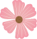 614485f93777953b37b880bb4a149f53.png 640 - 2024-07-08T090000.740.png