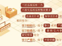 【党纪学习教育】学习进行时&bull;党纪学习应知应会系列（十）