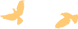 596a936264aaf484a3c0efd8a51545a2.png 640 (16).png