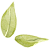 ad8c3eaa33c8688f492999c1e5a836c1.png 640 (15).png