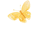aff19c3d481f283aa544f58d70b0df15.gif 640 (22).gif