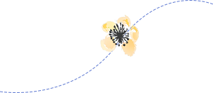 ac11bfa1df79f7a790d754d66c0fbe95.png 640 (68).png
